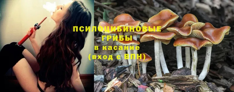 как найти закладки  мега онион  Галлюциногенные грибы Psilocybe  Кремёнки 