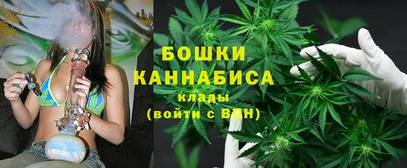 купить наркоту  Кремёнки  Бошки Шишки OG Kush 